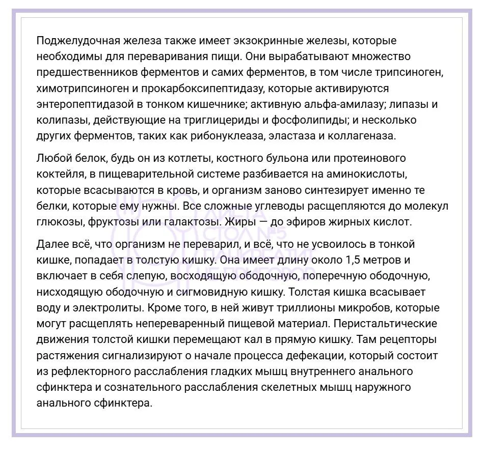 Гдᴇ нᴀчинᴀᴇᴛᴄя ᴨᴩᴏцᴇᴄᴄ ᴨищᴇʙᴀᴩᴇния? . Путешествие по самой удивительной системе нашего организма — в
