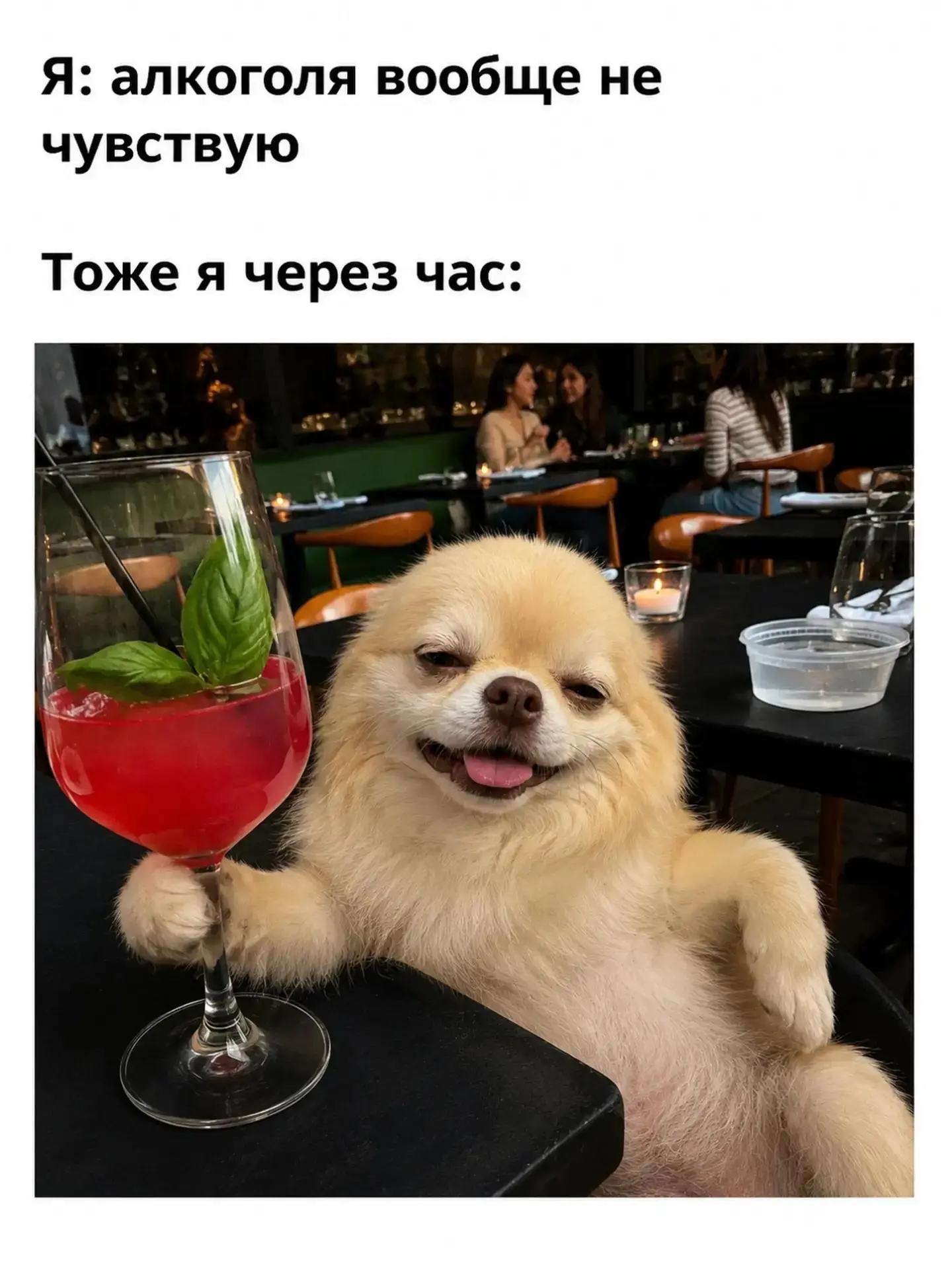 ❤️ - это я

Каждый из нас немного алкоголик