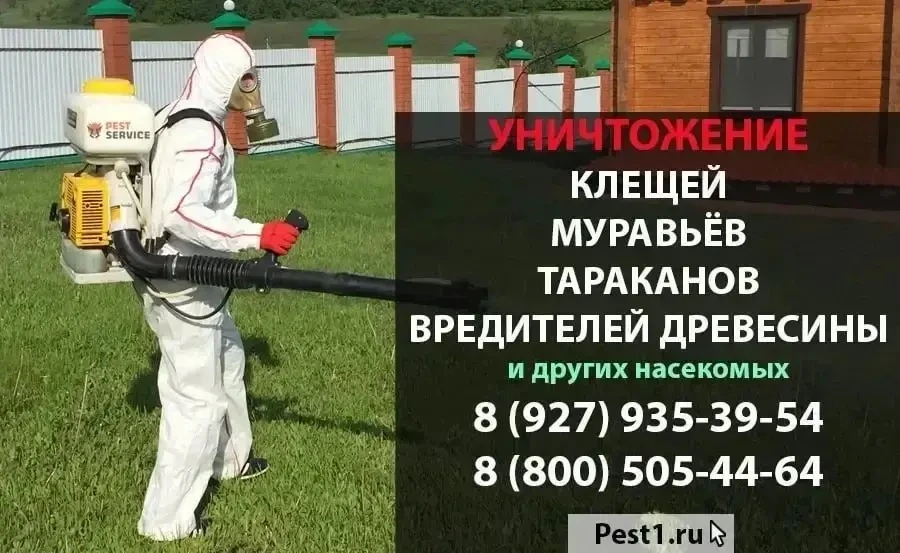 🌿 Акарицидная обработка от клещей — защита вашего участка на весь сезон!