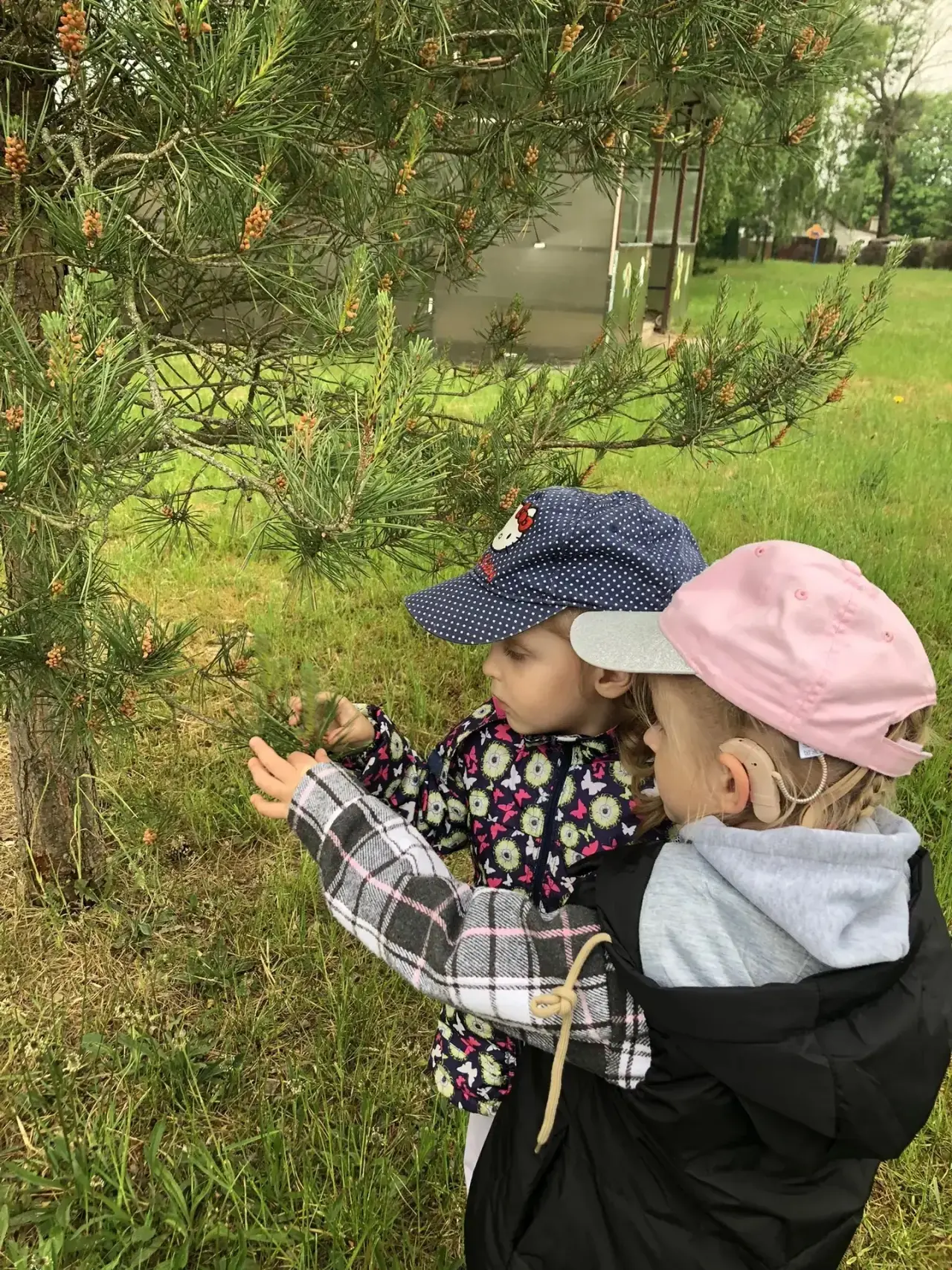 Летом наблюдения 🌿за изменениями в природе помогают лучше понять сезонные циклы, ☀️раз...