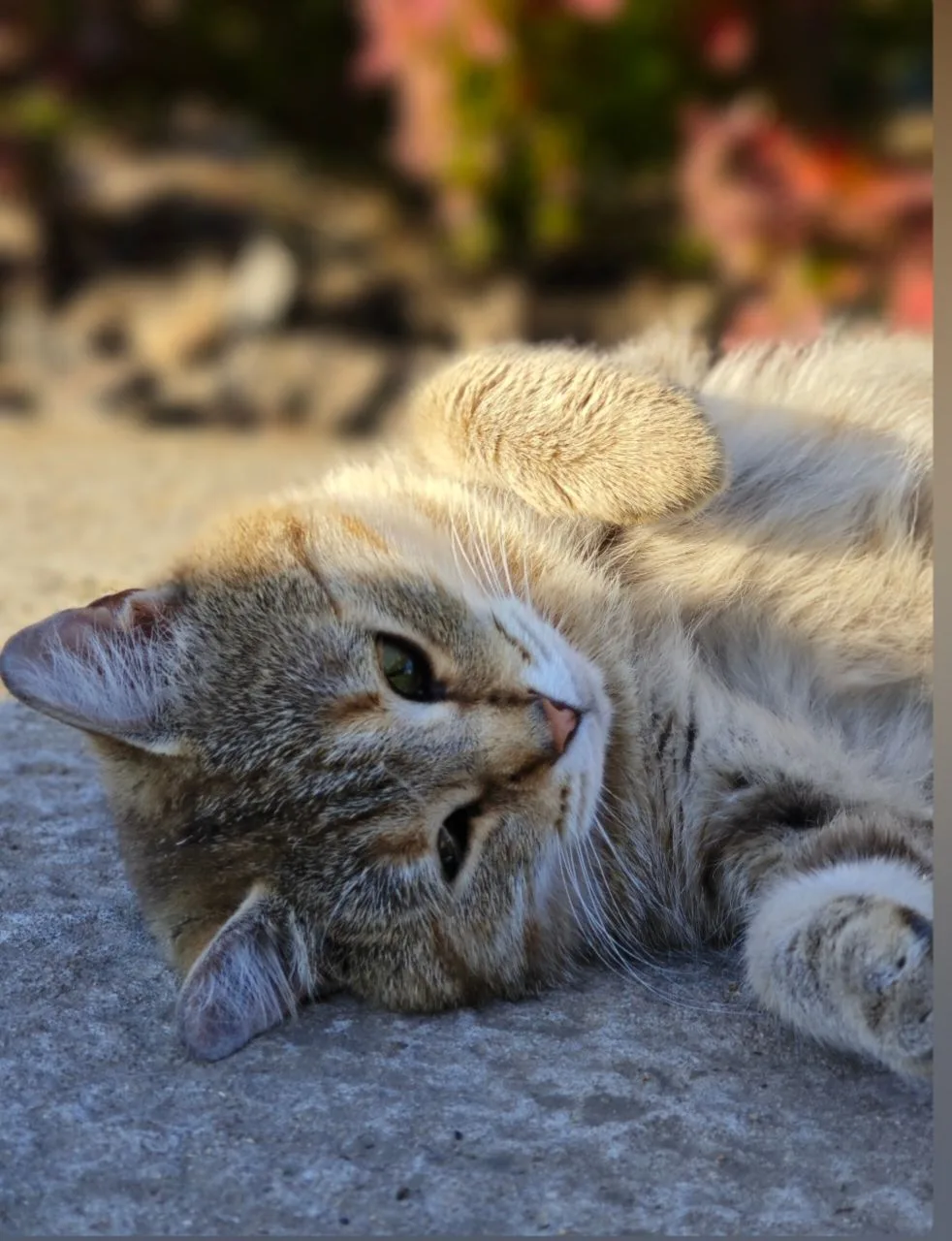 ☀️Просто лето..
🌺Просто красиво..
🫶Просто оставим это здесь..