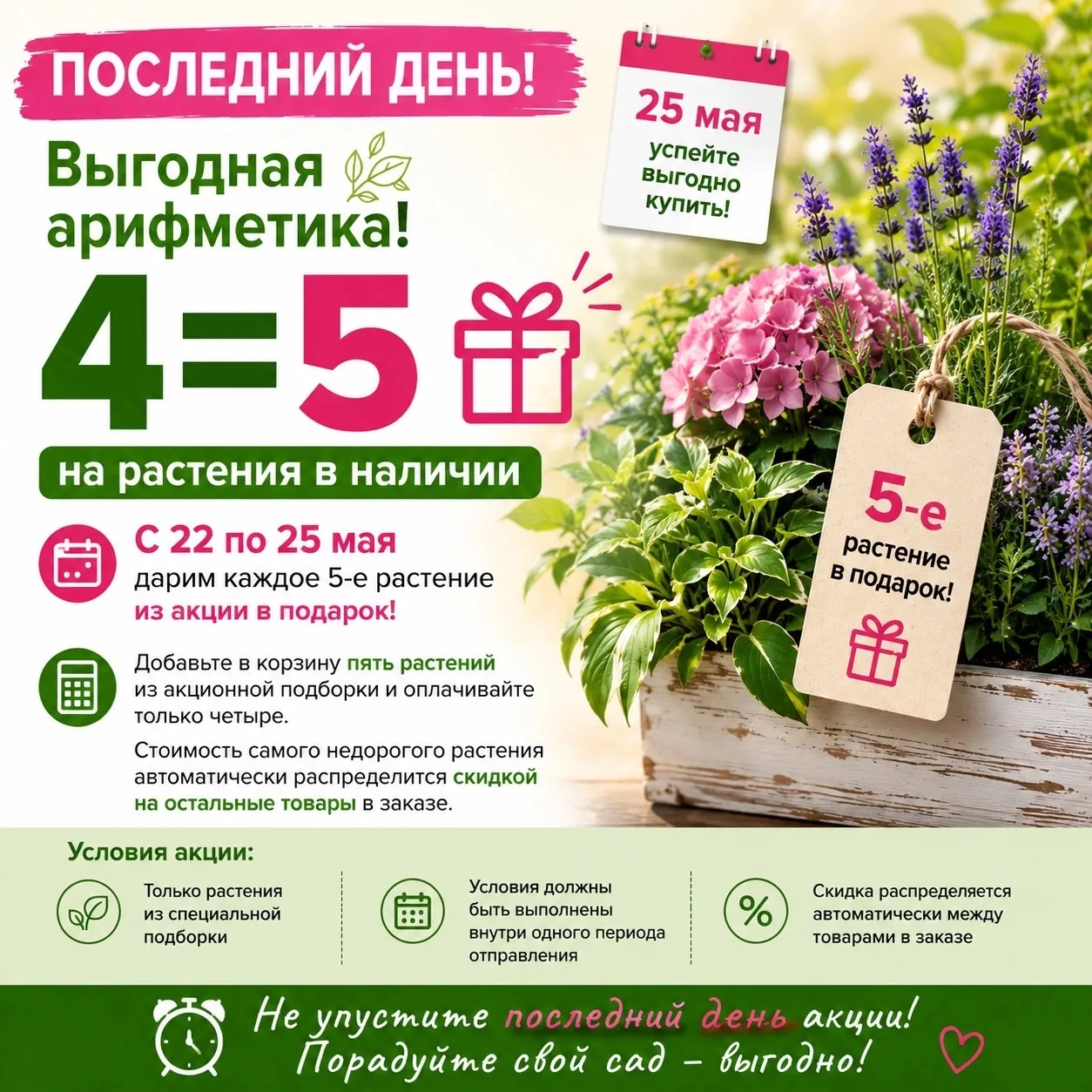 ⏰ Последний день акции 4=5!  Сегодня, 25 мая, завершается акция «Выгодная арифметика» на растения в 