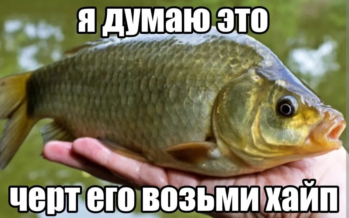 Ставь лайк! ❤️