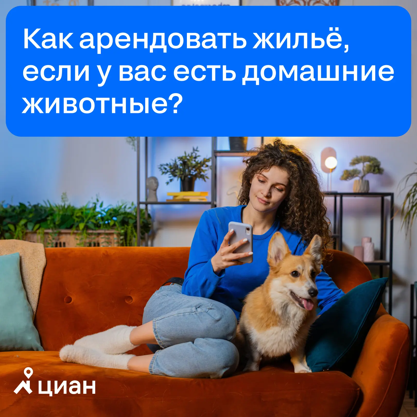 🐕 Как арендовать квартиру с домашними животными?