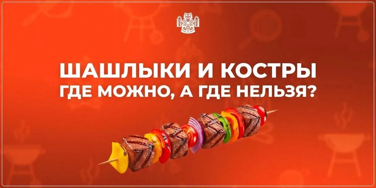 Какие штрафы грозят за жарку шашлыка в неположенном месте?  Близятся майские, а значит пора задумать