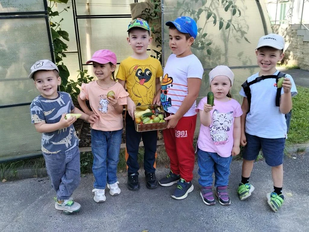 🎉 Ура! В теплице нашего детского сада — настоящий праздник урожая! 🎉