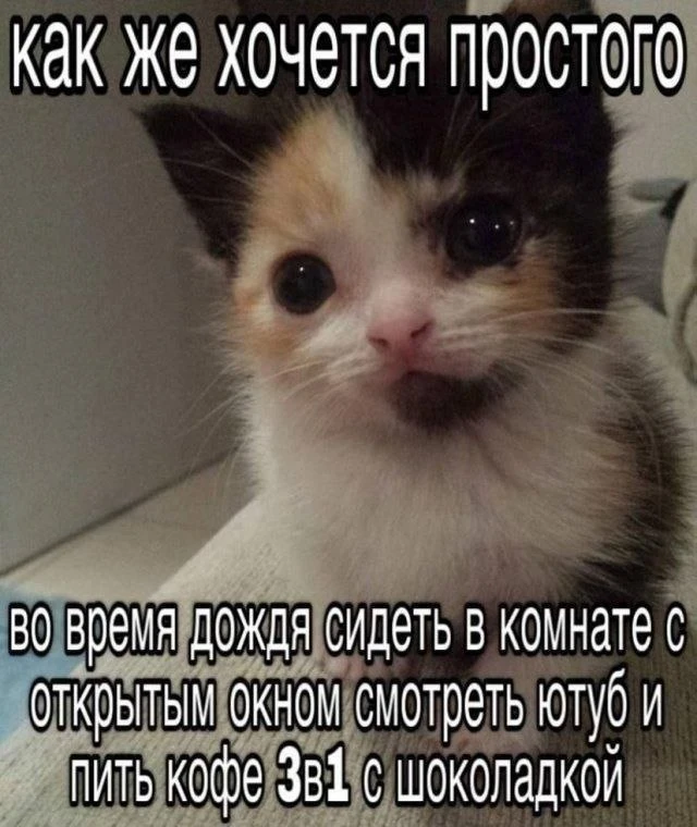 🫠🫠