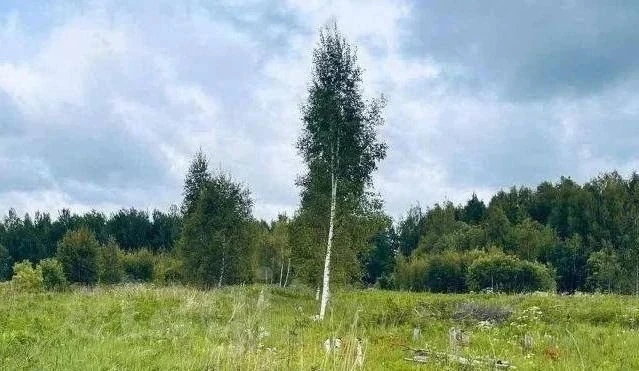 ⚠️ Обломки БПЛА нашли в Судиславском и Красносельском районах