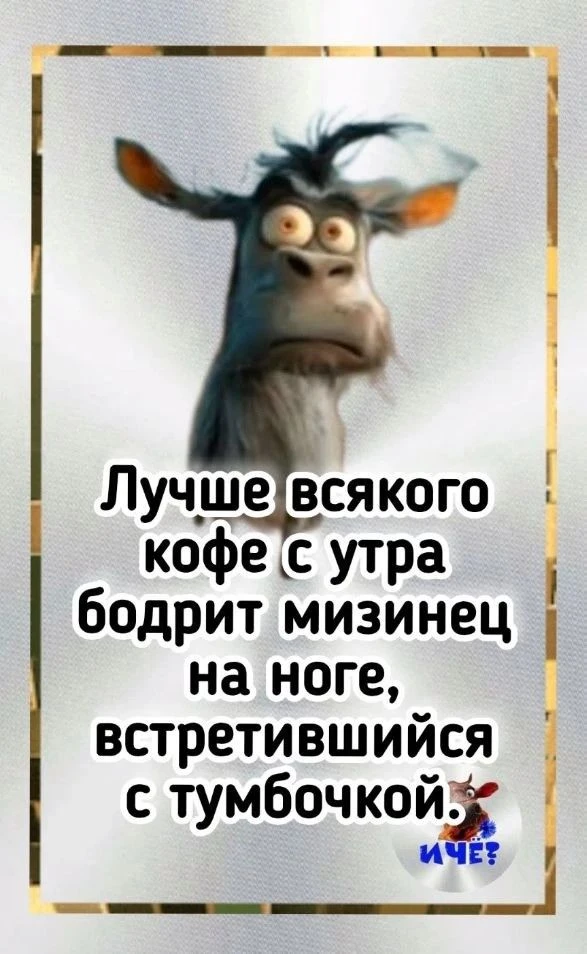 Проза жизни 🤪😁😁