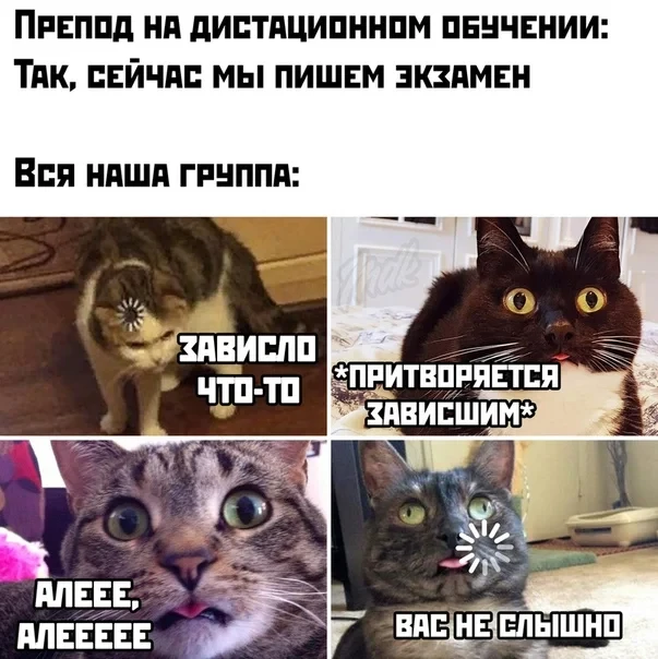 Ну реально связь плохая! 😃