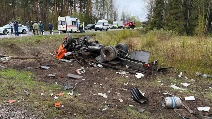 Изображение 1 к публикации «Соня Сафарова»
