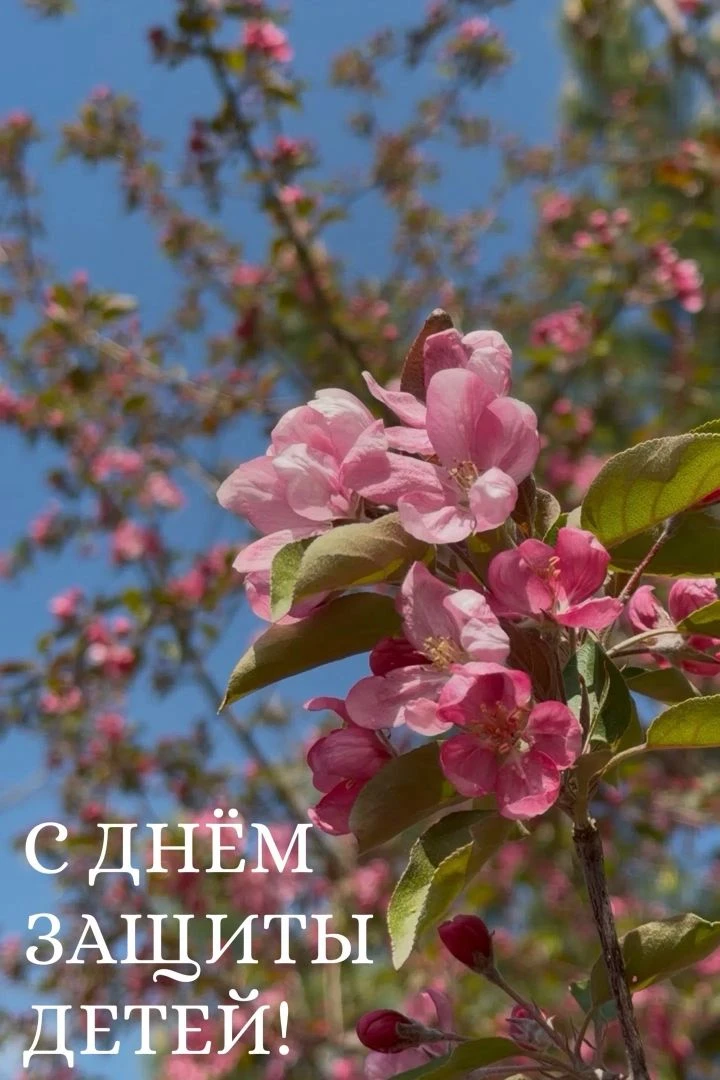 От всей души поздравляю с Международным днем защиты детей!
