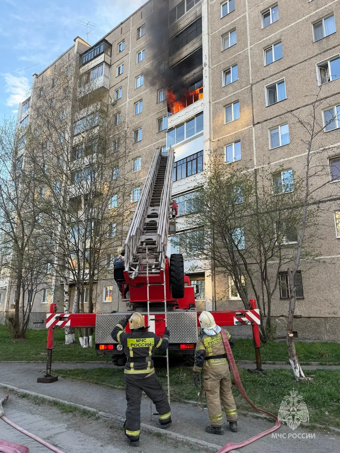 В НИЖНЕМ ТАГИЛЕ НА ПОЖАРЕ СПАСЛИ КОТА   🚒Накануне в Нижнем Тагиле произошел пожар. По информации гор
