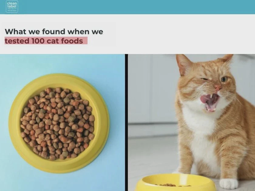 🐈 В кошачьих кормах обнаружили свинец и мышьяк