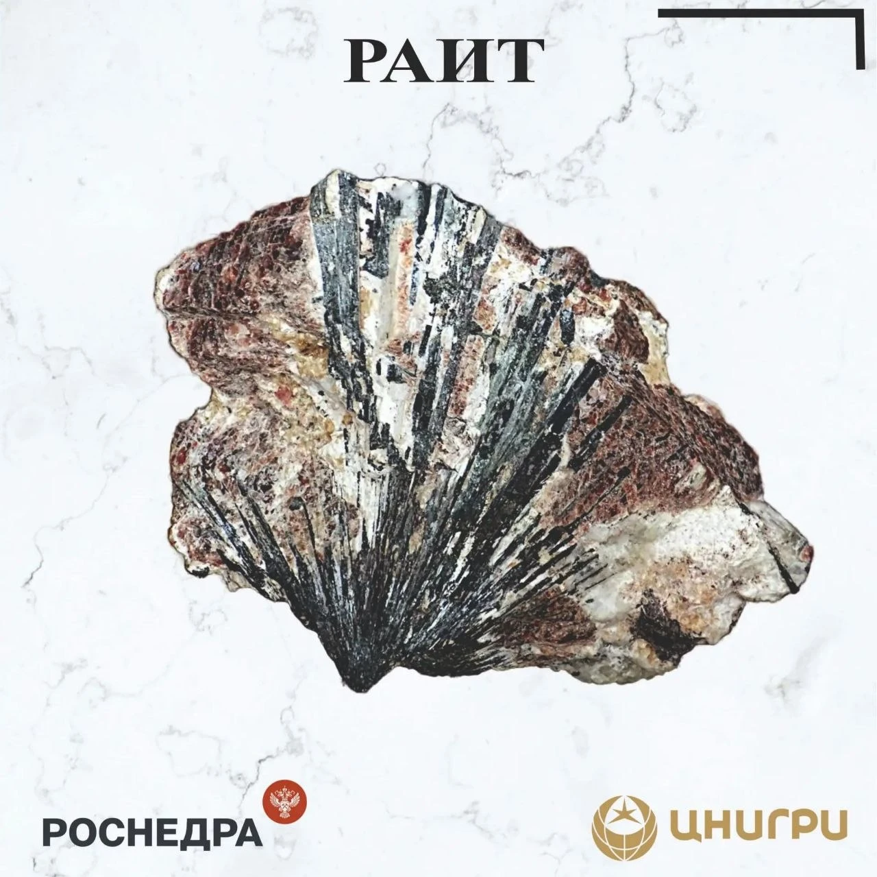 В эту среду ЦНИГРИ ⁉️