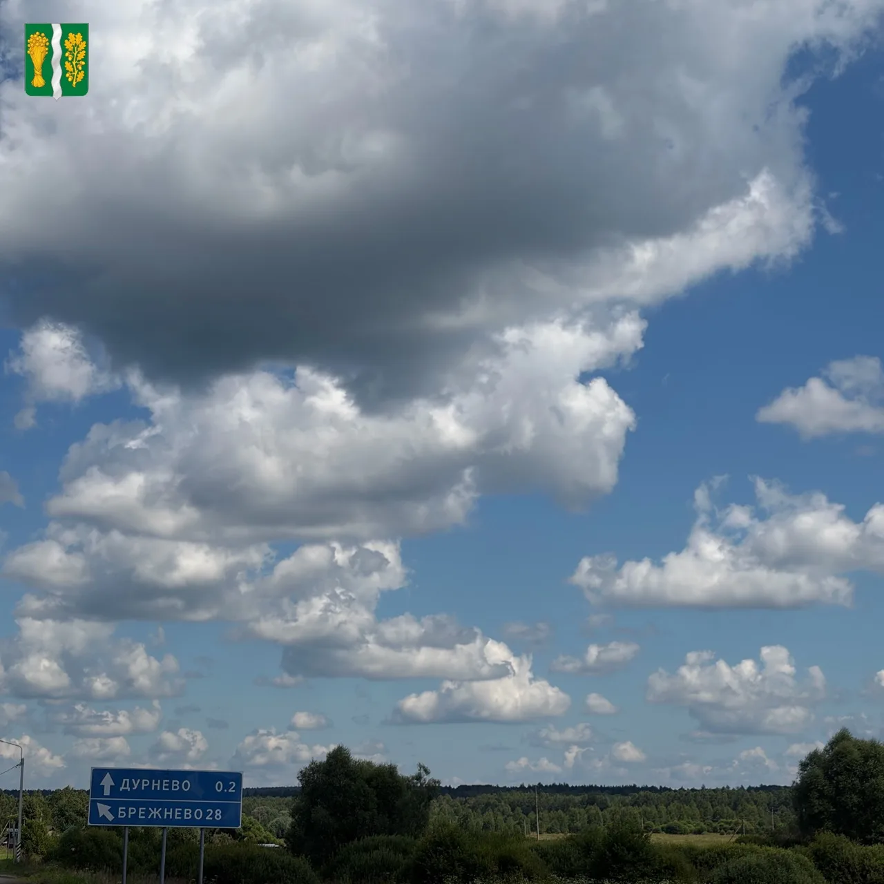 🌅 В ежедневной суете мы порой не замечаем, какая красота живёт рядом с нами!