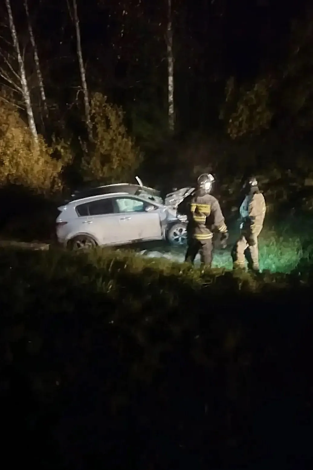 🦌 Еще одна авария с лосем произошла в Карелии