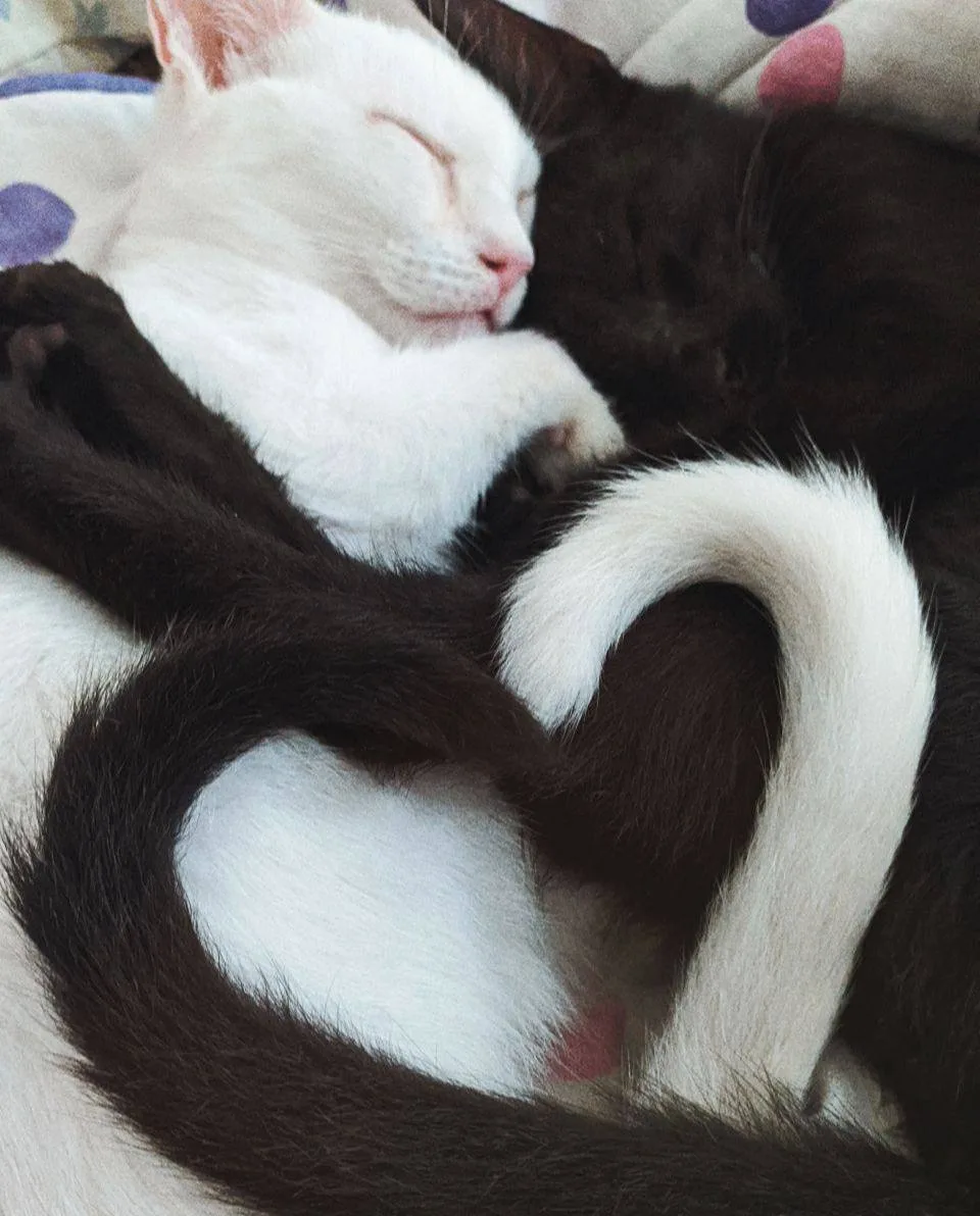 🥰День семьи, любви и верности отмечается сегодня.