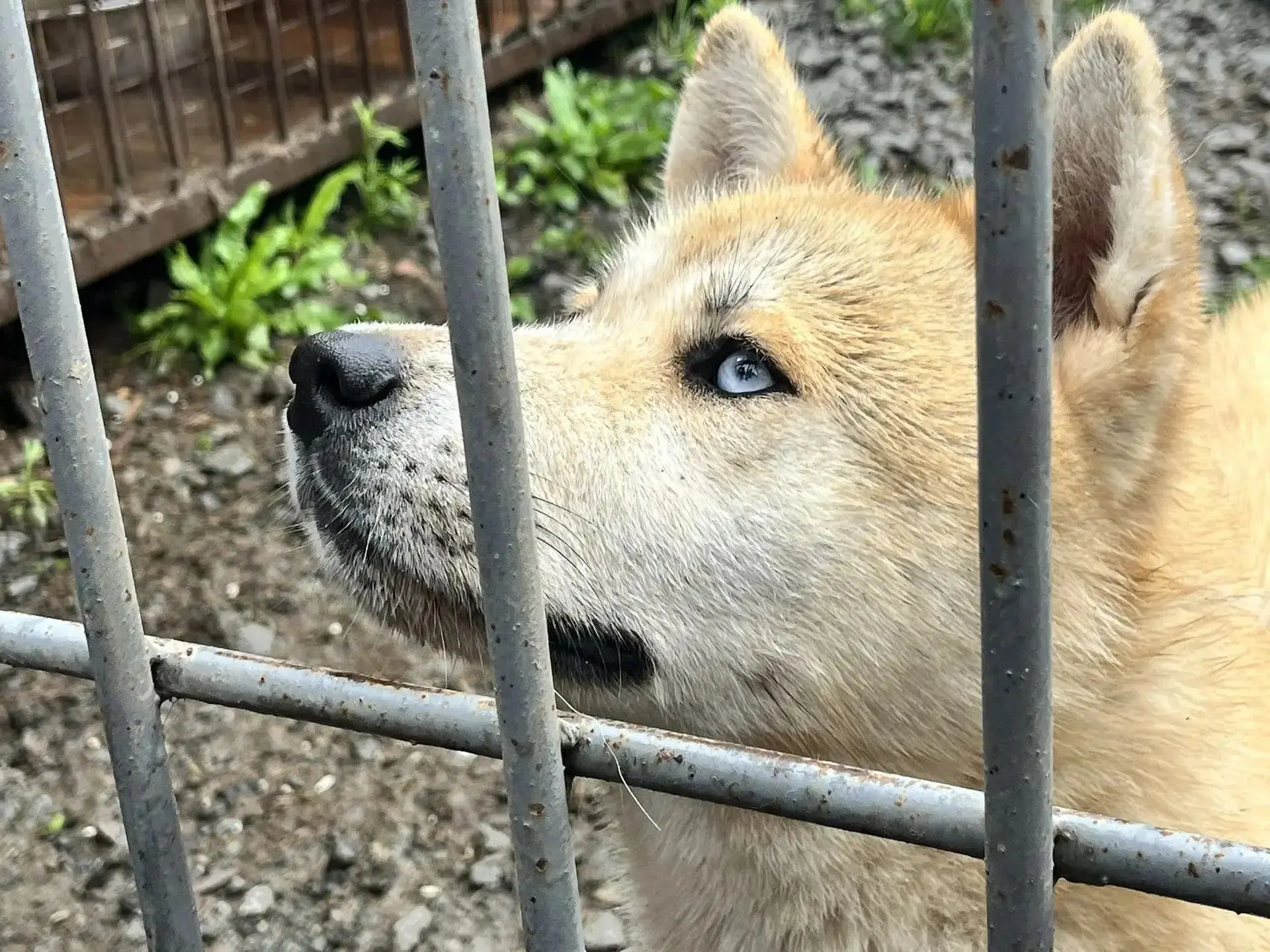 Помогать — выбор сильных