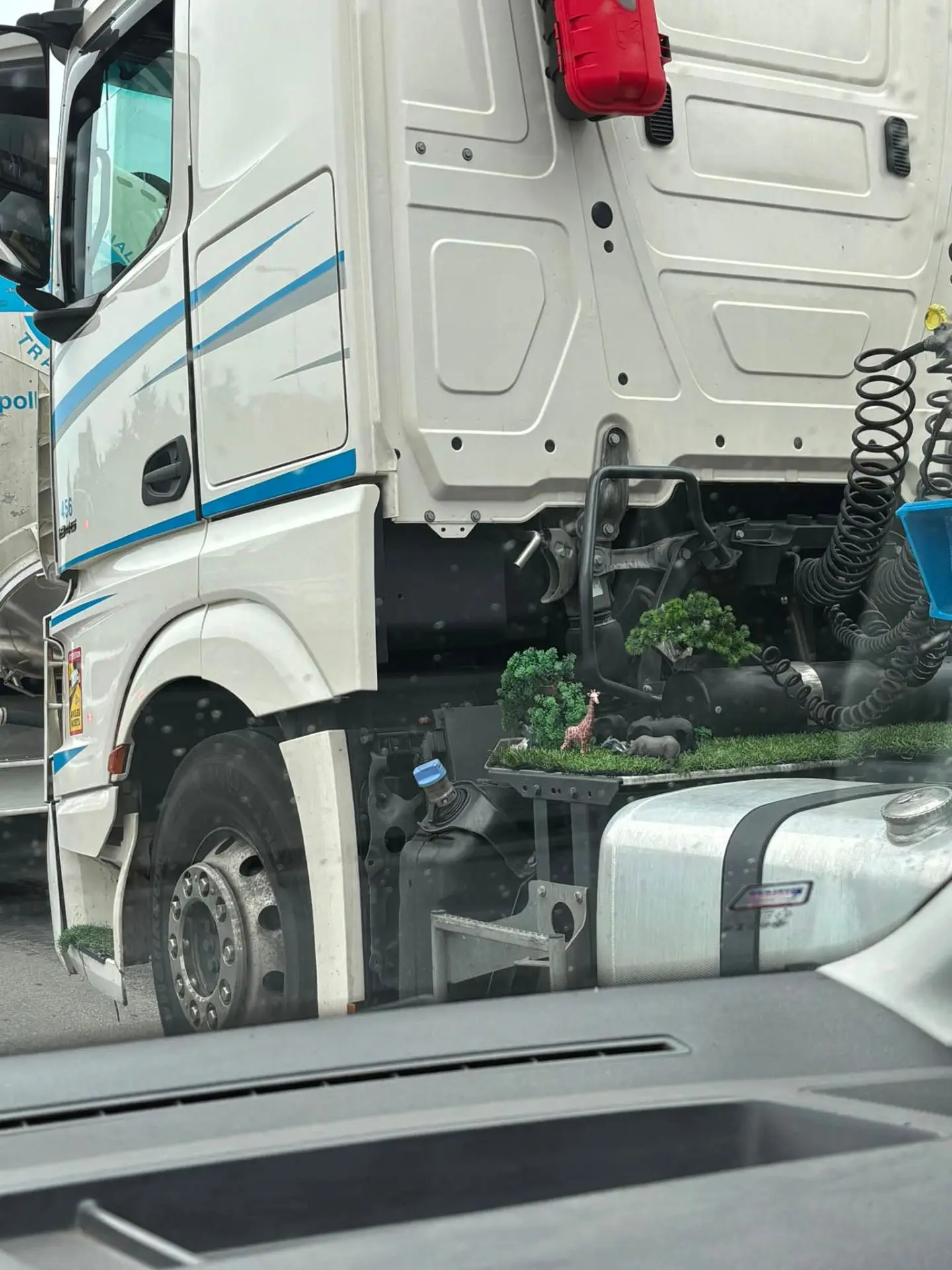Коллега-дальнобойщик владелец собственного сафари парка 🤣