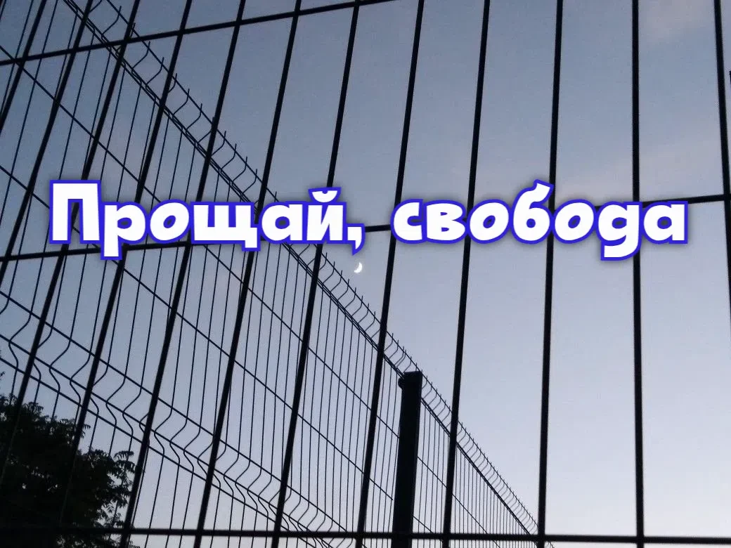 6 причин не быть должником по алиментам: прощай, свобода