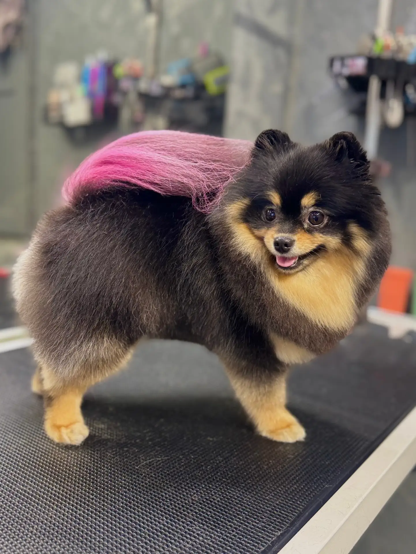 Милашка 🎀Бона🎀