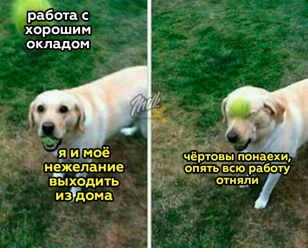 Во всём виноваты…

Подписывайся на MDK Краснодар