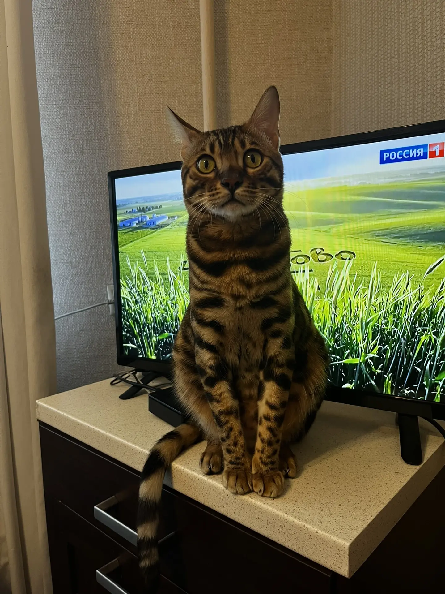 Всем приветик 👋