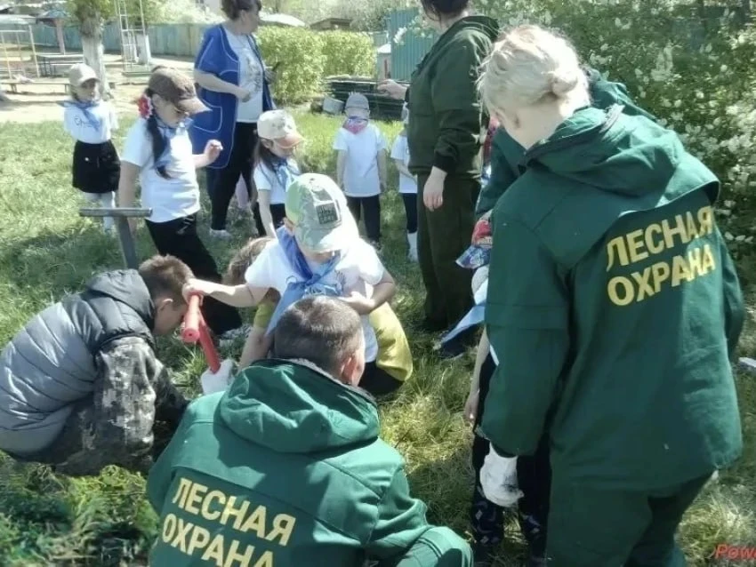 📍В рамках национального проекта «Экологическое благополучие» сотрудники ГКУ «Управление лесничествам