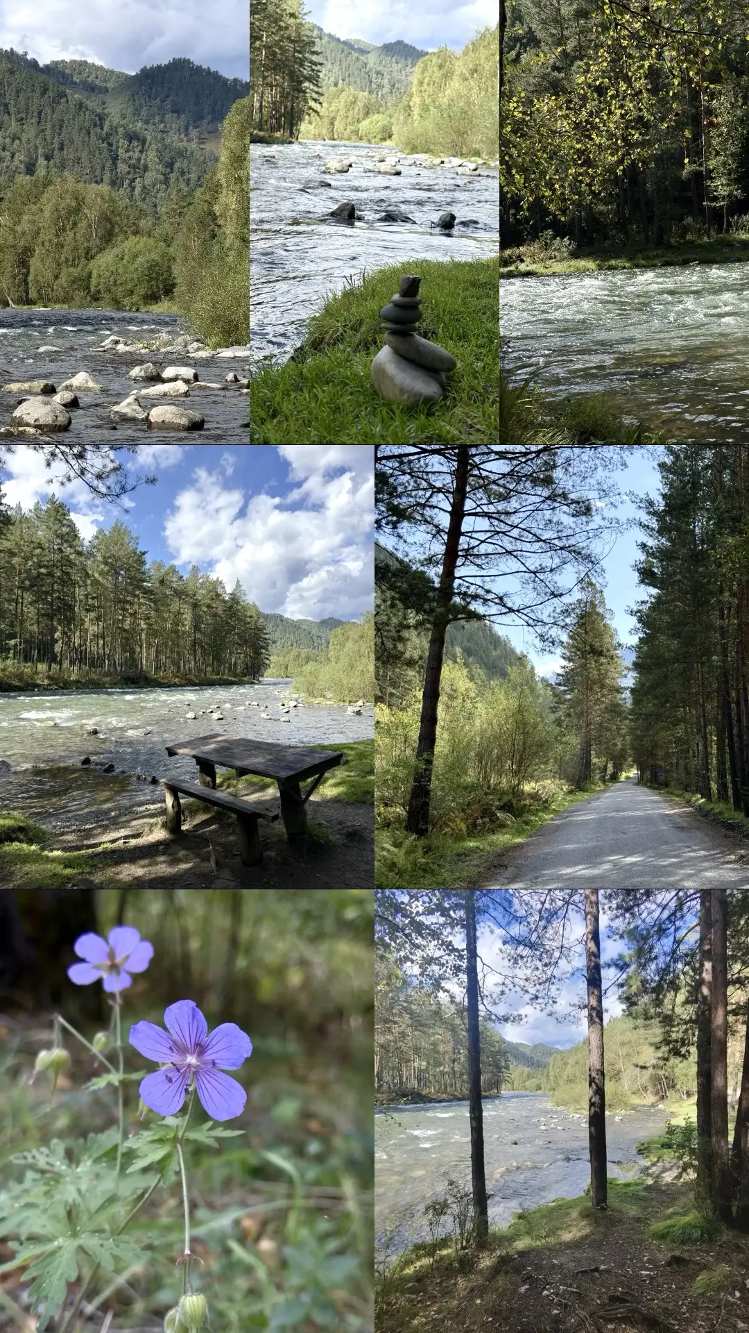 Красота — в глазах смотрящего🌲✨