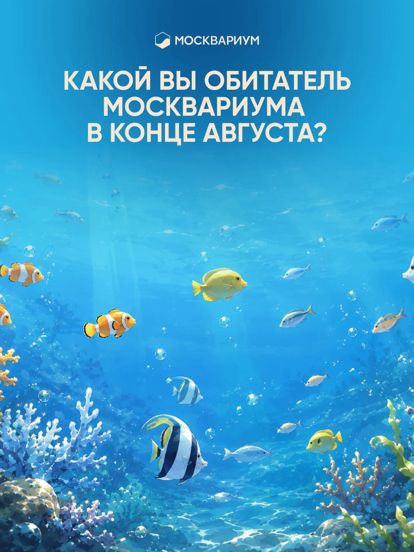 Август заканчивается, а настроение у всех разное.