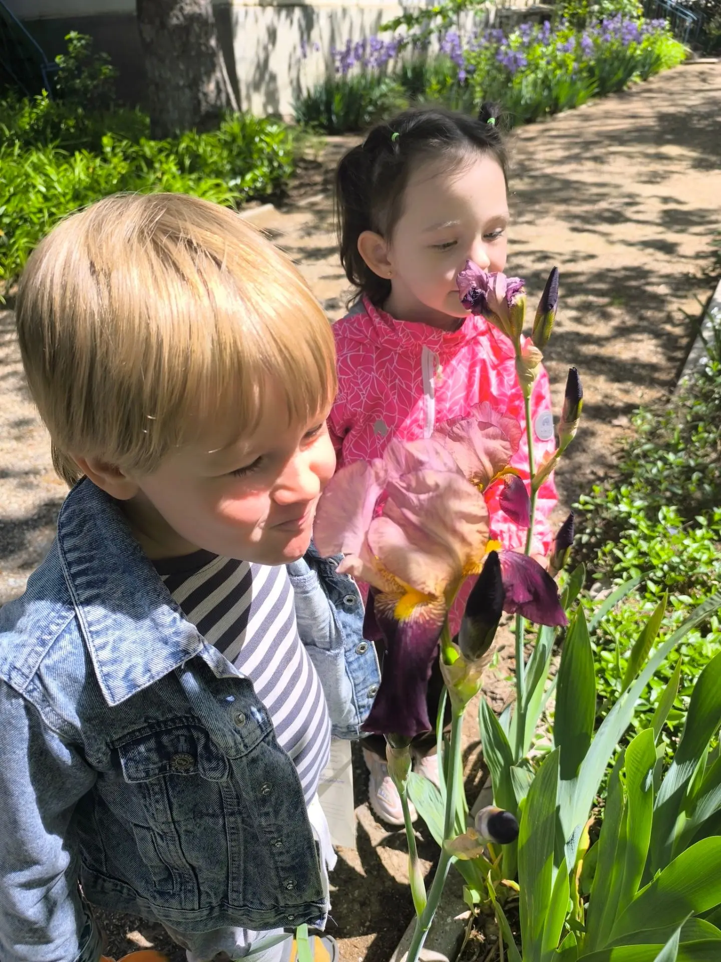 🌼🌷🌺 Весенняя красота вокруг 🌺🌷🌼Весна в разгаре и прогулки на улице приносят всем ...