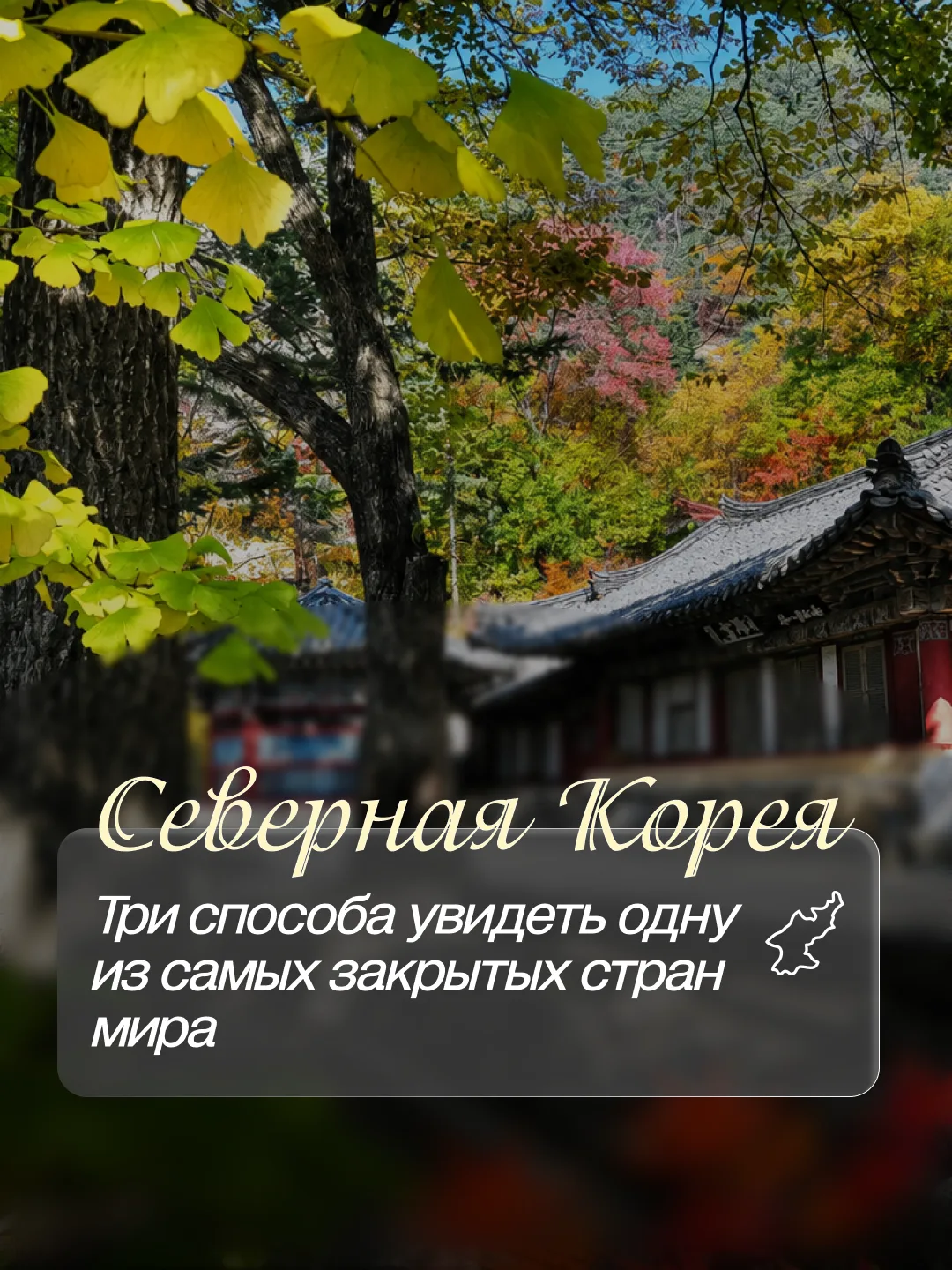 Северная Корея 🇰🇵 Туда всё-таки можно!