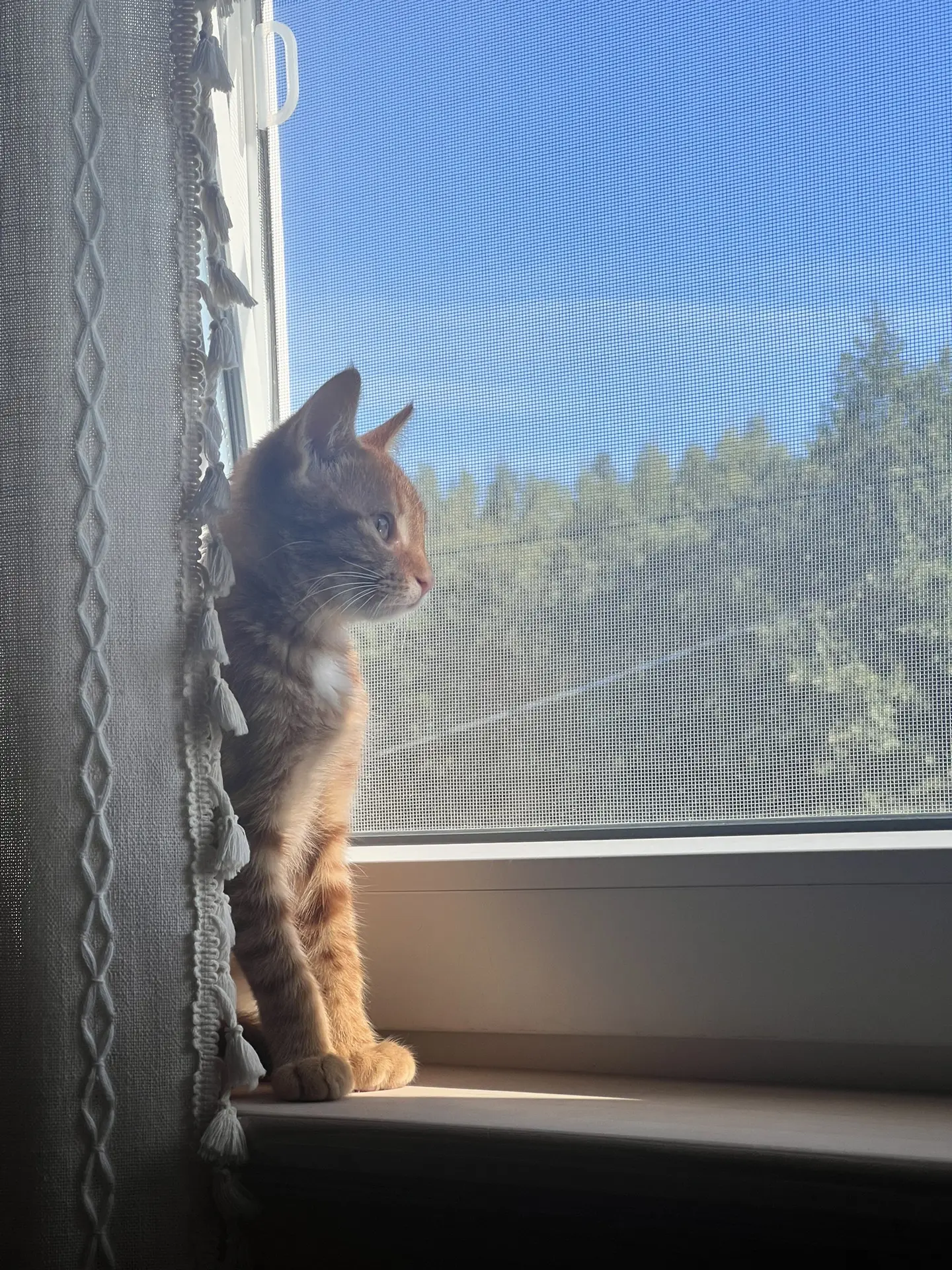 У нас пополнение 😍