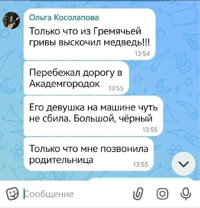 В красноярском Академгородке запретили прогулки в детсадах из-за медведя