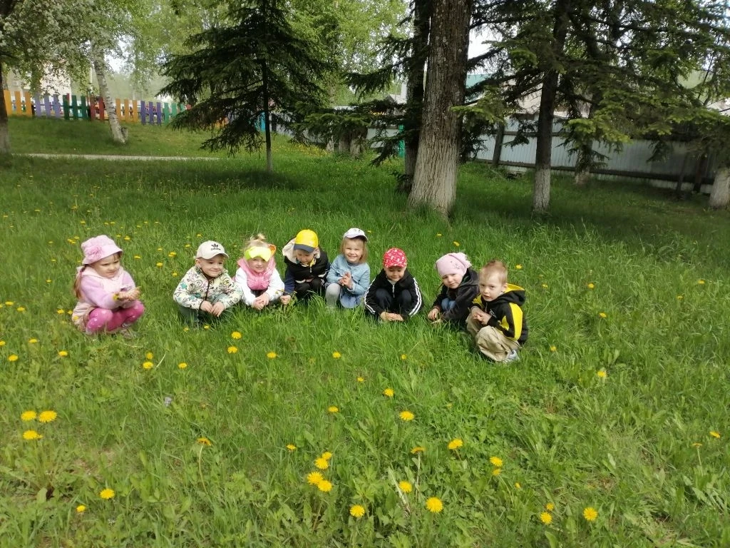 Любуемся красивой поляной одуванчиков.
 Младшая группа.
 Воспитатель Недзельская Лариса Анатольевна.