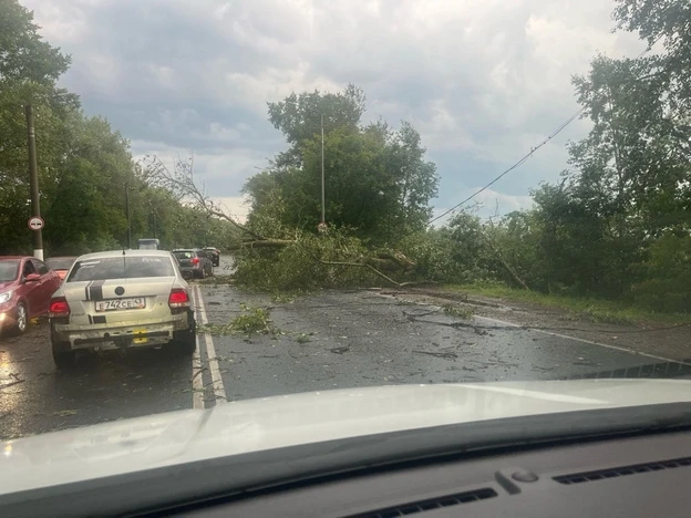 🌩️ В Кировской области ожидаются грозы, ливни и сильный ветер

30 июля и ночью 31 июля местами по р