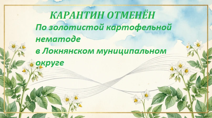 📅 В Локнянском муниципальном округе отменен карантин по золотистой картофельной нематоде.