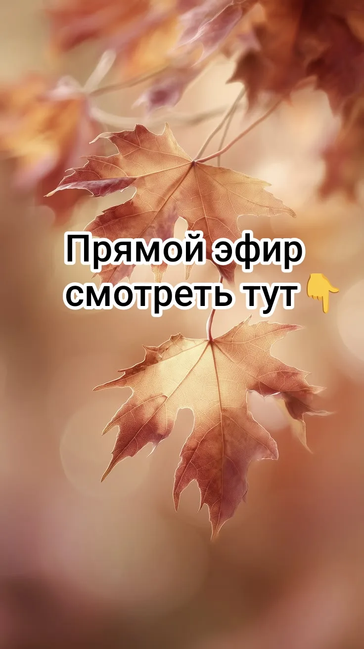https://vkvideo.ru/video-213041239_456241039