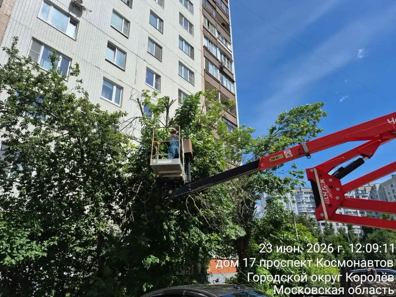 🌳 Проспект Космонавтов — один из самых молодых районов Королёва. Его активная застройка началась в 