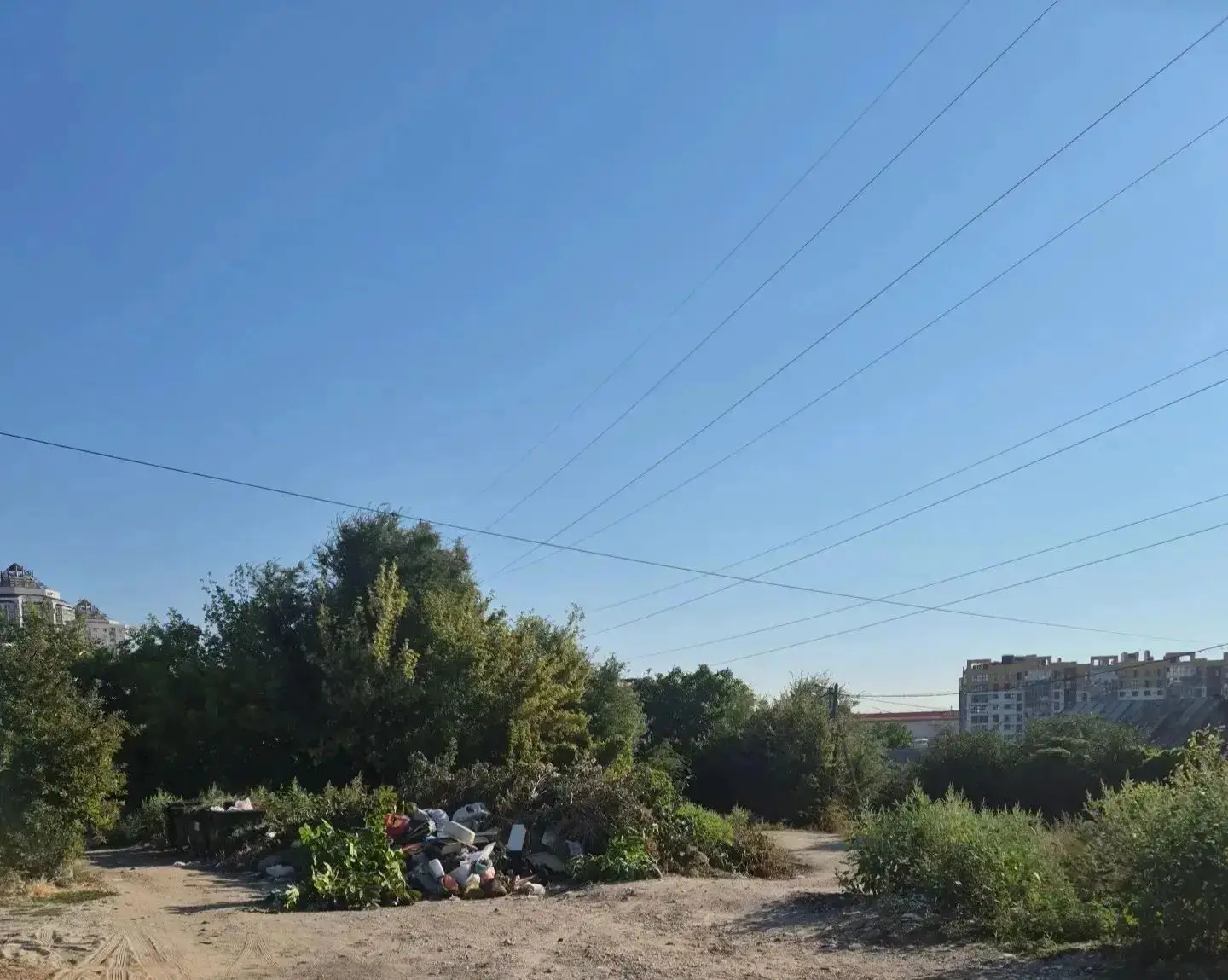 В Волгограде в результате принятых прокуратурой мер оборудована контейнерная площадка
