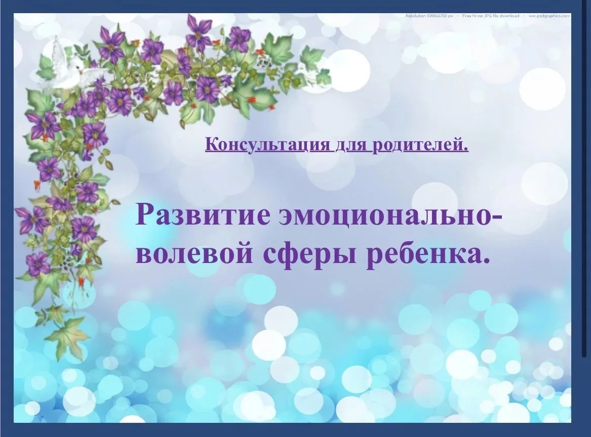 Развитие эмоционально-волевой сферы ребенка.