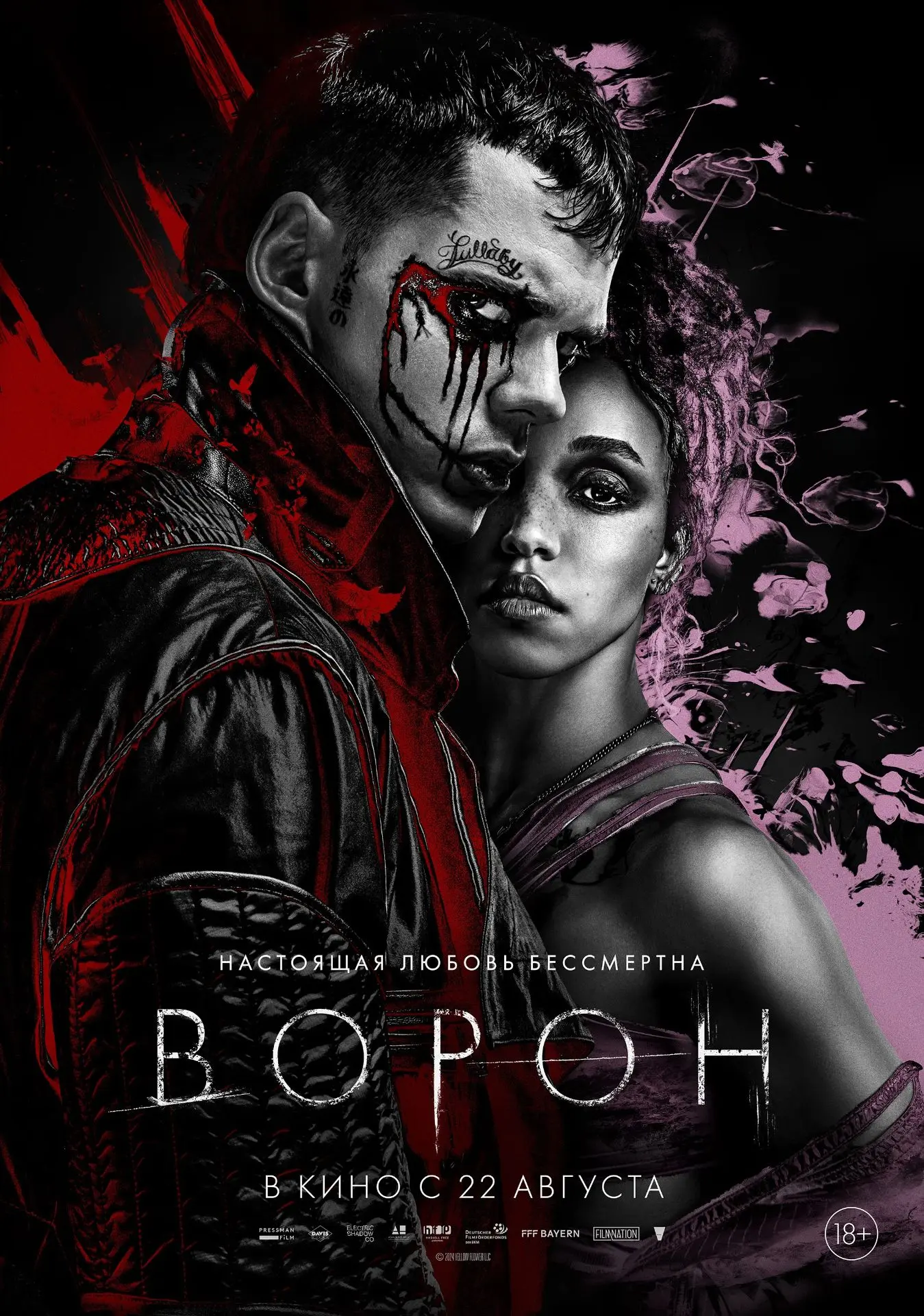 🎬 Ворон (2024) — Смотреть в качестве

Молодой наркоман Эрик Дрейвен в рехабе встречает Шелли Вебсте
