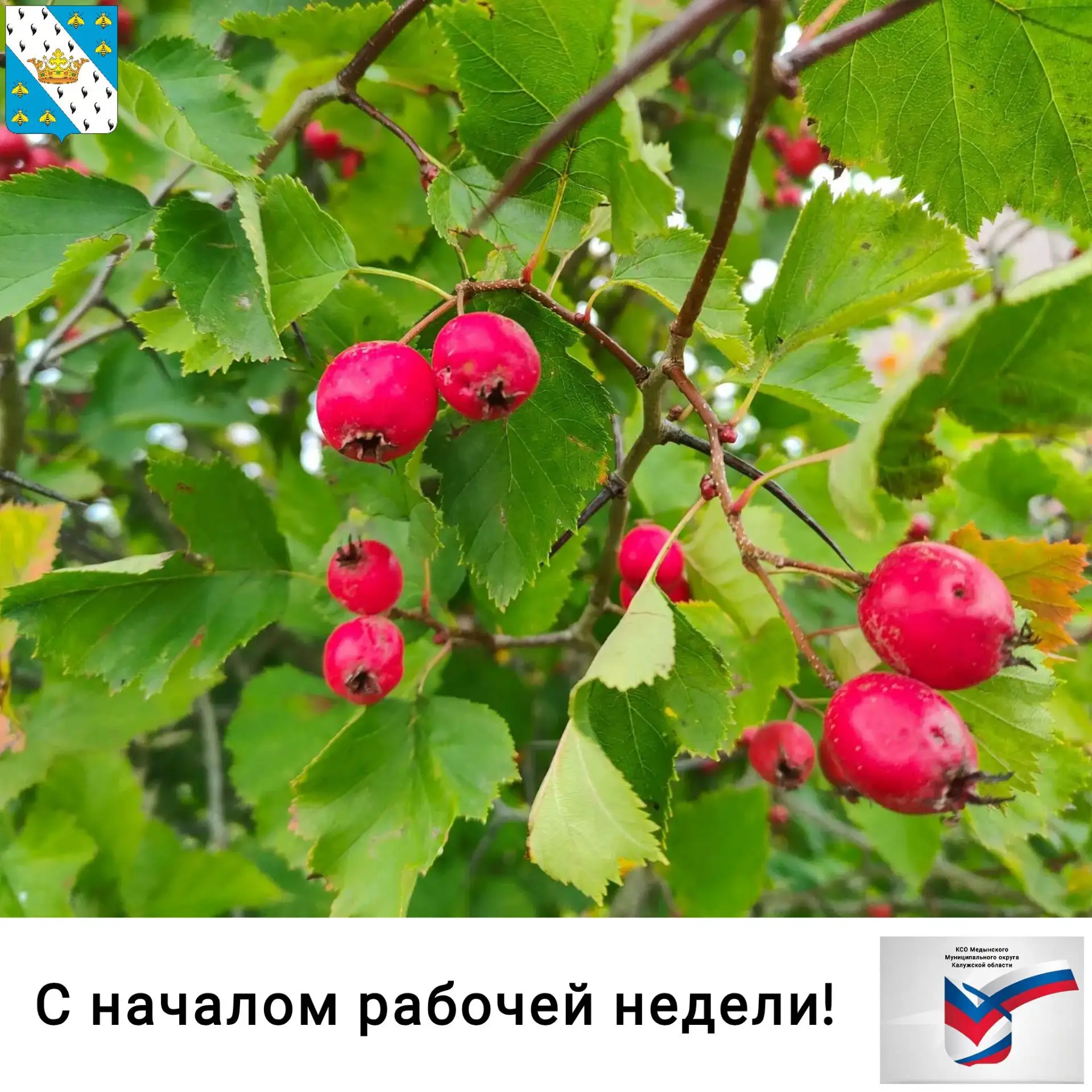 💯С началом рабочей недели, друзья!