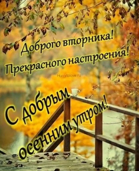 👉 ОТКРЫТКИ 💗 С добрым утром!