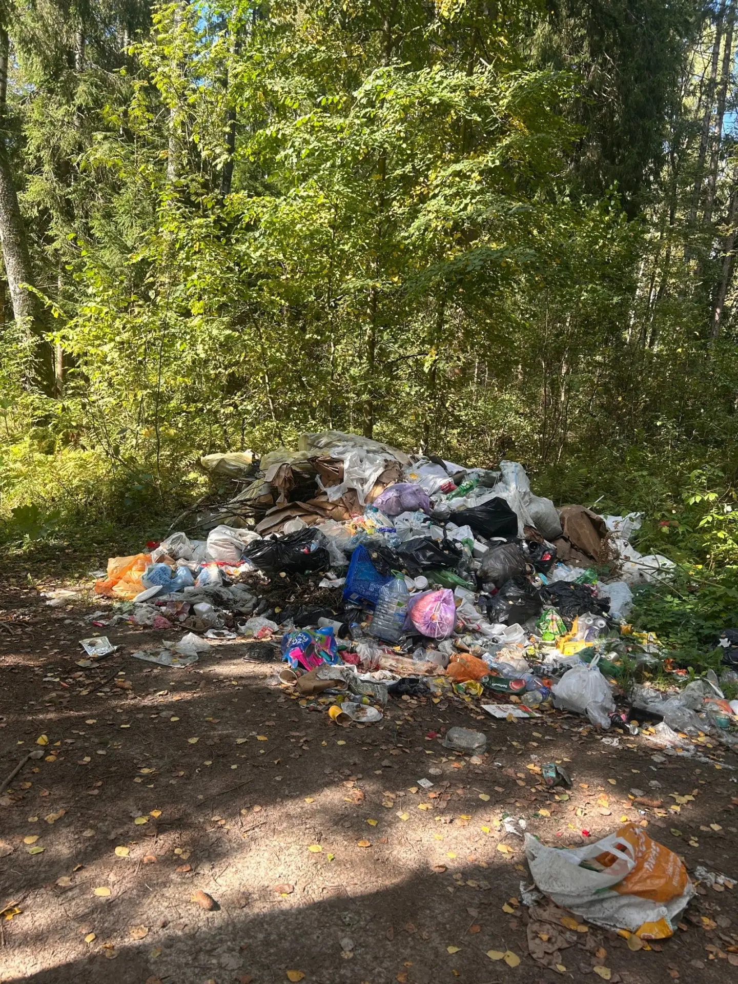 Люди, вы что творите?! Такое ощущение что приехал мусоровоз и выкинул.