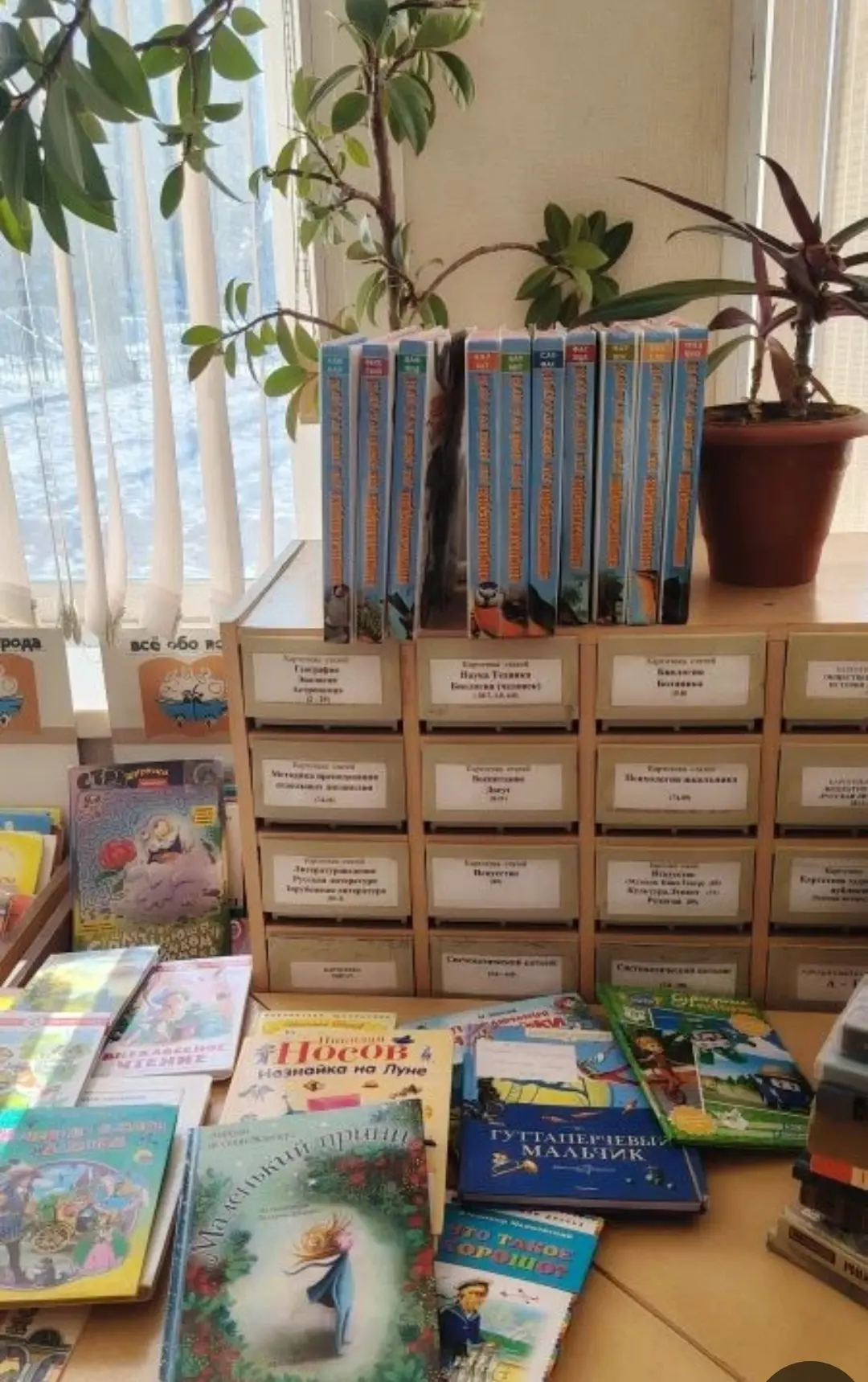 14 февраля — День книгодарения: в лицее «Сигма» прошла акция «Книгообмен» ❤️📚  Три дня дружного книг