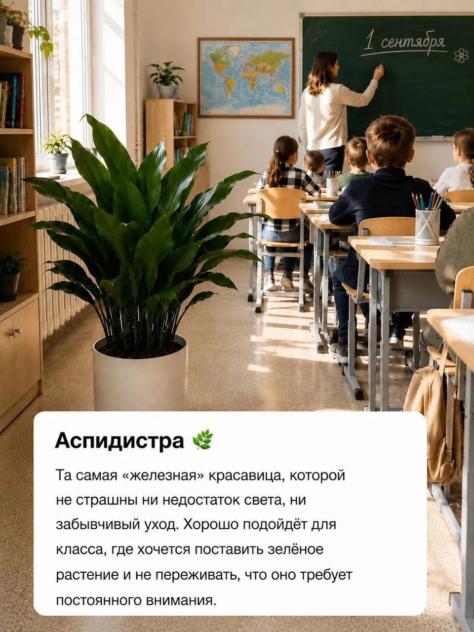 Изображение 8 к публикации «О жизни и растениях | Дом соломинки»