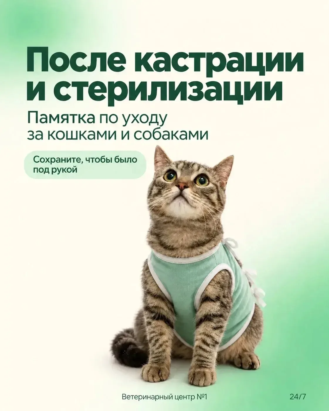 Ваш питомец перенес операцию? Сохраняйте важную памятку! 🐾