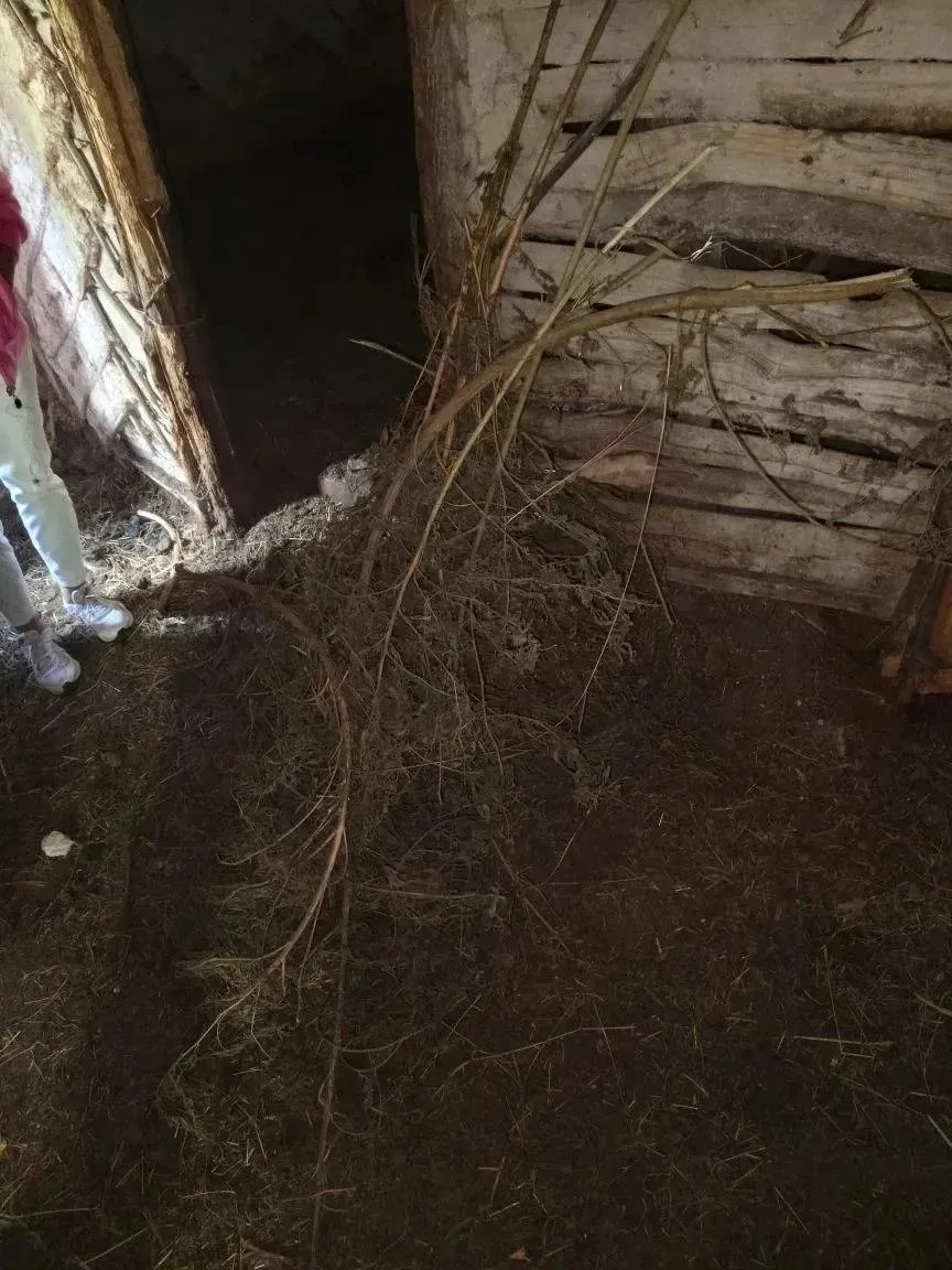 🌿 Полкило конопли изъяли у жителя воронежского села